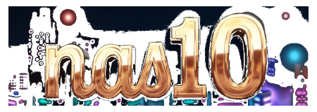 na10 logo